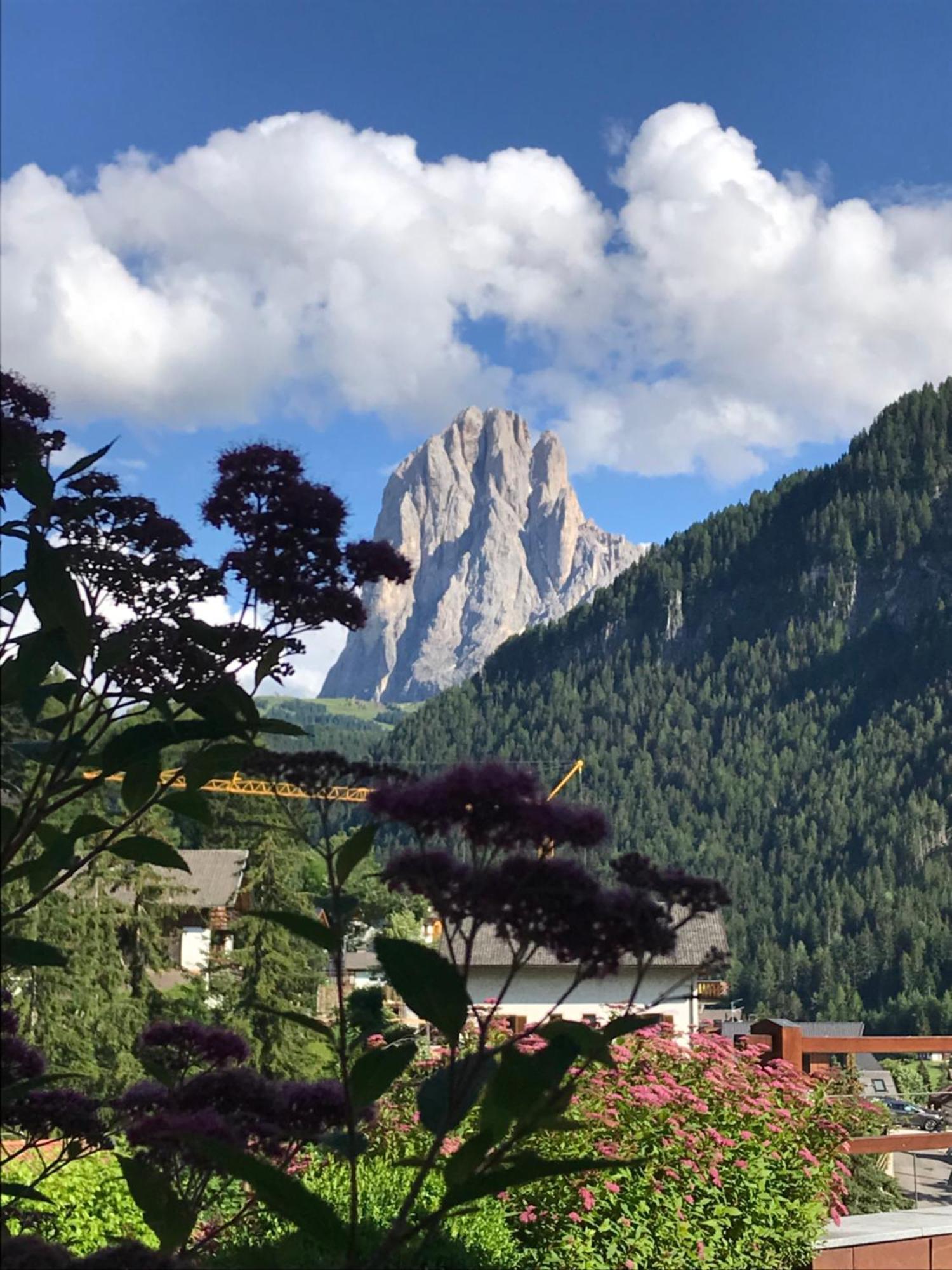 Apartments Chalet Anna Ortisei Zewnętrze zdjęcie